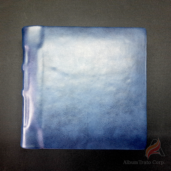 Blue Smoothie, Coffee Table Book-type, 10"x 10"